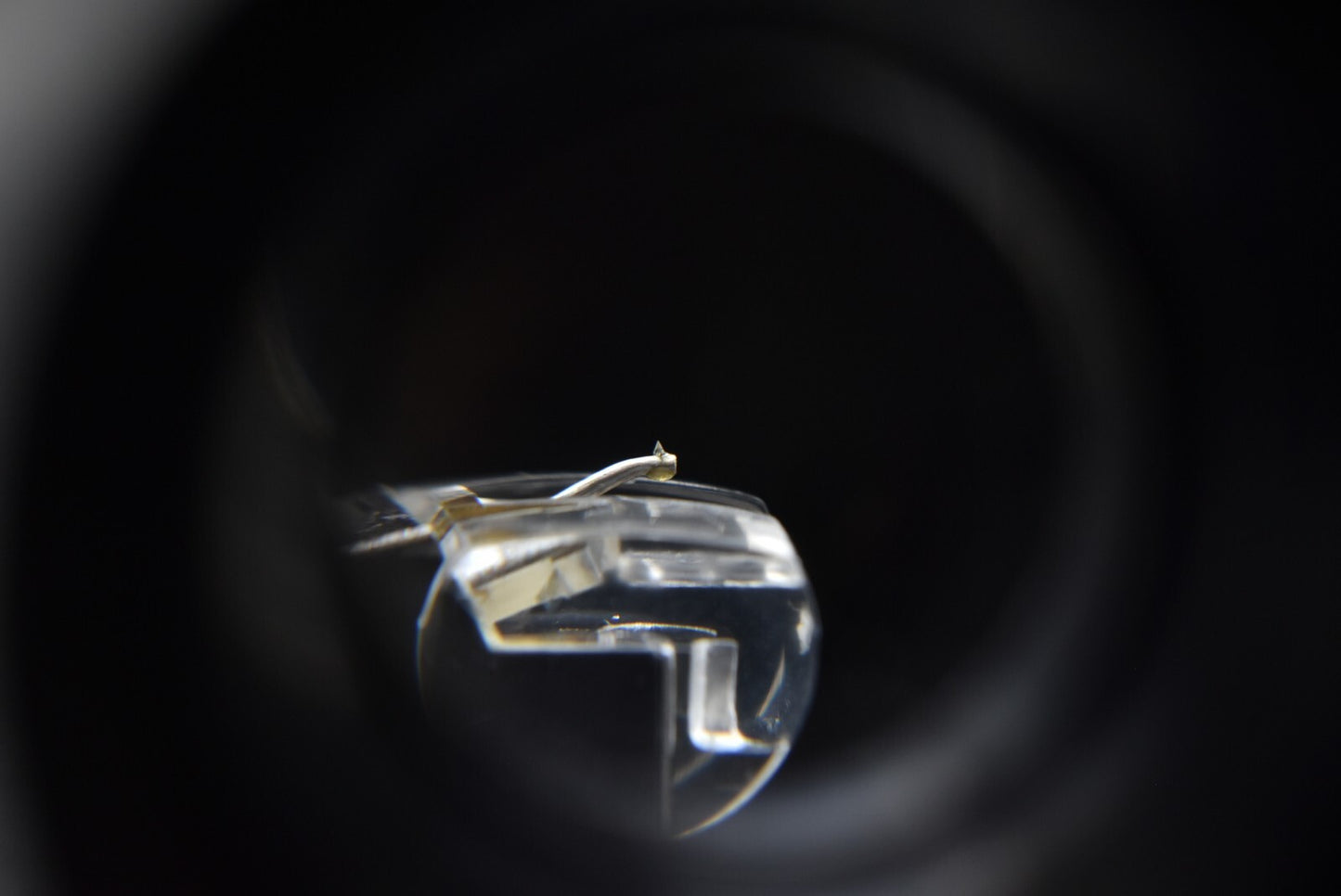 45087130