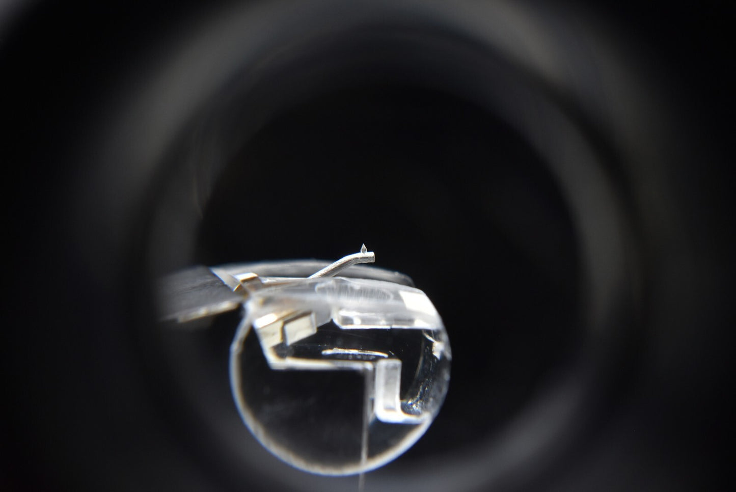 44690659