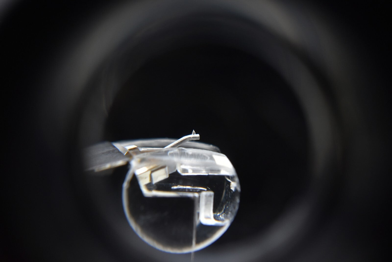 44690659