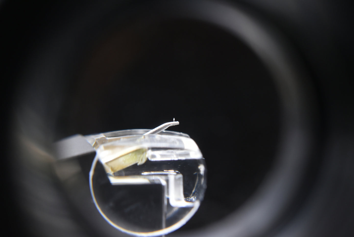 Grace F-8C MM Cartridge